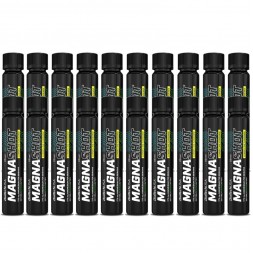 Magna Shot 20x25 ml - BioTechUSA